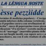 I termini dimenticati del dialetto barese